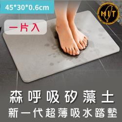 ◎超薄設計 0.6cm，不會卡門縫小朋友踩上去沒有高低差。|◎獨創天然礦紋灰設計，耐髒好清洗|◎附贈歐洲嬰兒使用等級止滑墊類型:地墊/防滑墊主材質:珪藻土/矽藻土材質說明:吸水地墊:矽質礦物、貝殼類礦