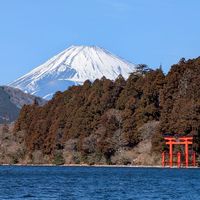小海豹娛樂｜日本代購