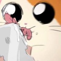 絶っっっっ対に騒げ全緩也〜〜〜‼️‼️❣️❣️🤩🤩