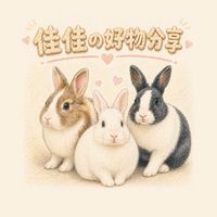 佳佳の選品、好物分享*(●°u°●)