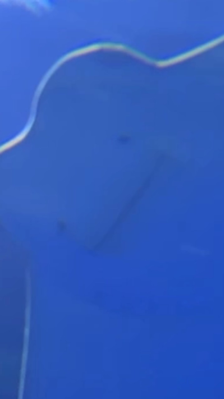 フォトナランク上げよーぜ！