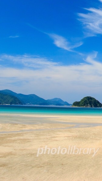 和歌山　ボランティア　海✨🏖