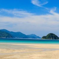 和歌山　ボランティア　海✨🏖