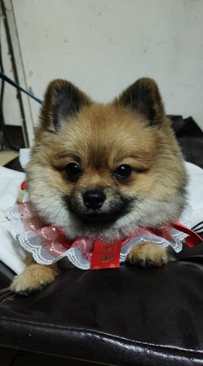 野格小舖