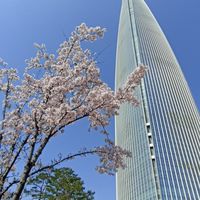 0308韓國行
