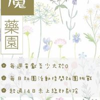 魔藥園@HPMA