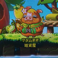 メイプルかえで鯖