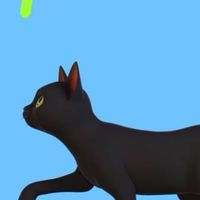 OPバウンティラッシュ