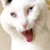 おぉん…❣️全緩ハントやで…テレテレ
