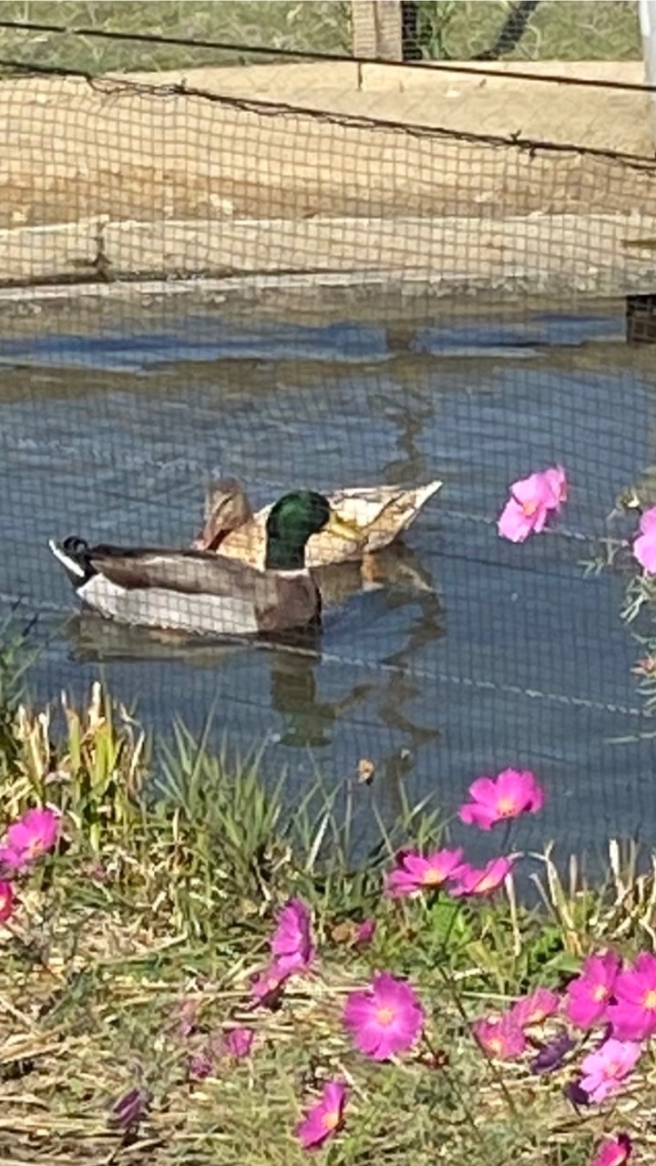 みんなの楽校 ゆくはし