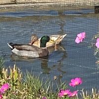 みんなの楽校 ゆくはし
