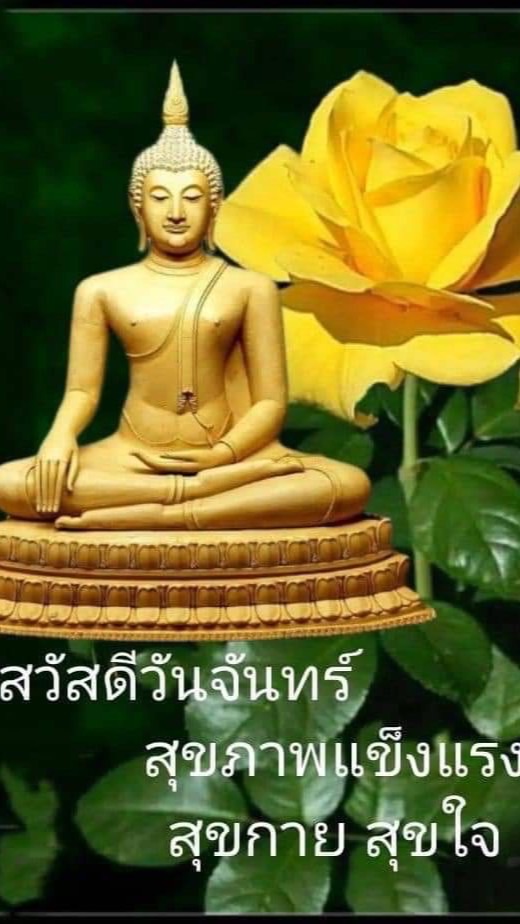 หมี่เหลือง