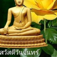หมี่เหลือง