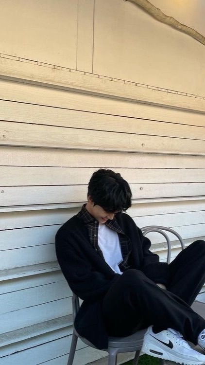 หมัดแมว