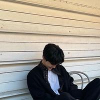 หมัดแมว