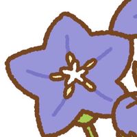 一宮市近郊 20代以上限定
