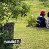 KADAN【全体発信用】
