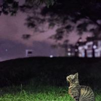 二中後宮學業討論群