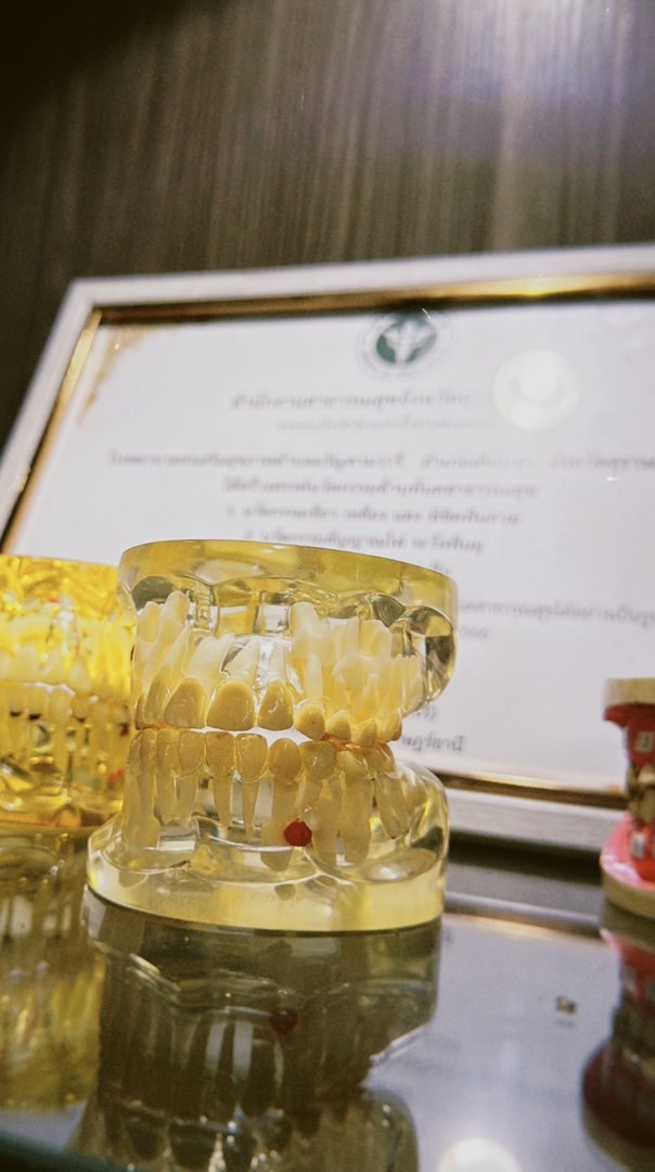 Dent อรัญคามวารี