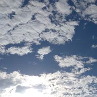 思春期以上の発達っ子について話そう🌱(保護者専用)