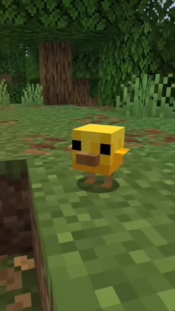 マイクラレルムズ建国鯖「開始日は2026年1月11日」