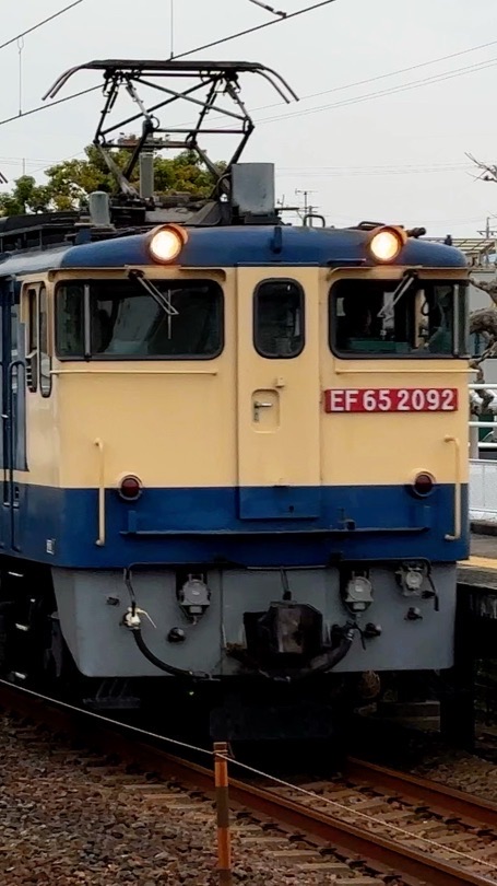特急やいもち！