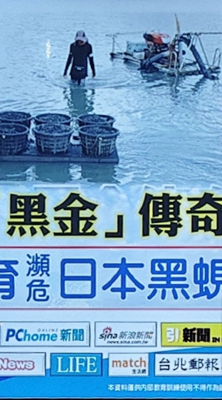 國家級保健食品-紅麴-蜆錠（立馬）