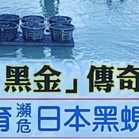 國家級保健食品-紅麴-蜆錠（立馬）