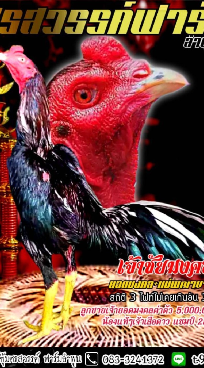ศรสวรรค์ฟาร์มลำพูน1