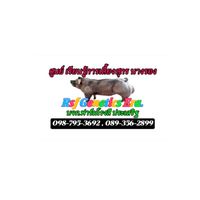 ศูนย์ เรียนรู้การเลี้ยงสุกร นางรอง