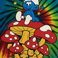 หน่วยงานเก็บเห็ด🍄