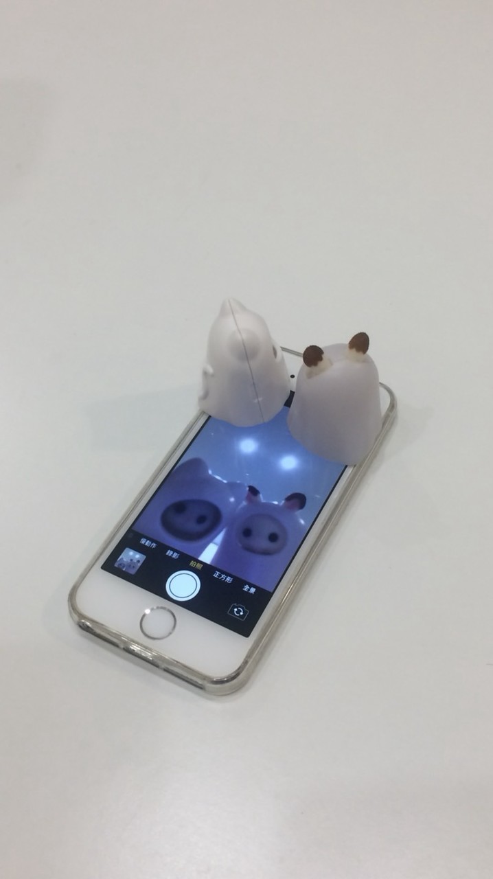Momo的日本代購群🕊️
