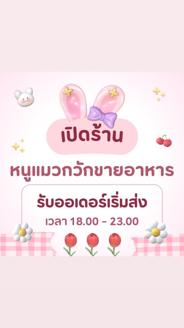 🐱หนูแมวกวัก ขายอาหาร