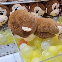 いたい人、頭おかしい人達集まれ!!