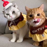 旺旺屋🍊