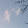 現中1勉強・雑談室！（避難用）