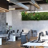 ARAGAS Project|SNSマーケティング運用