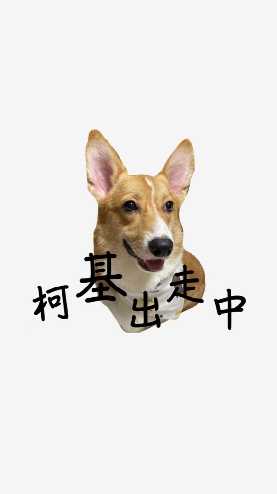 柯基出走中～葡眾益生菌