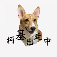 柯基出走中～葡眾益生菌
