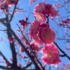 本好きな人語りましょ〜！