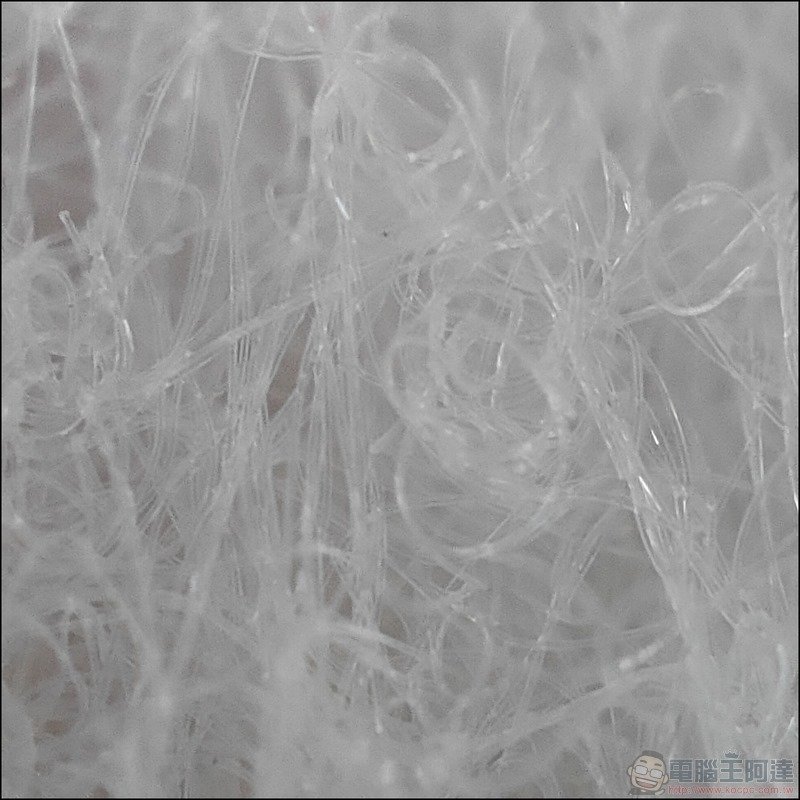 OPPO Find X3 Pro 拍攝樣張 - 49