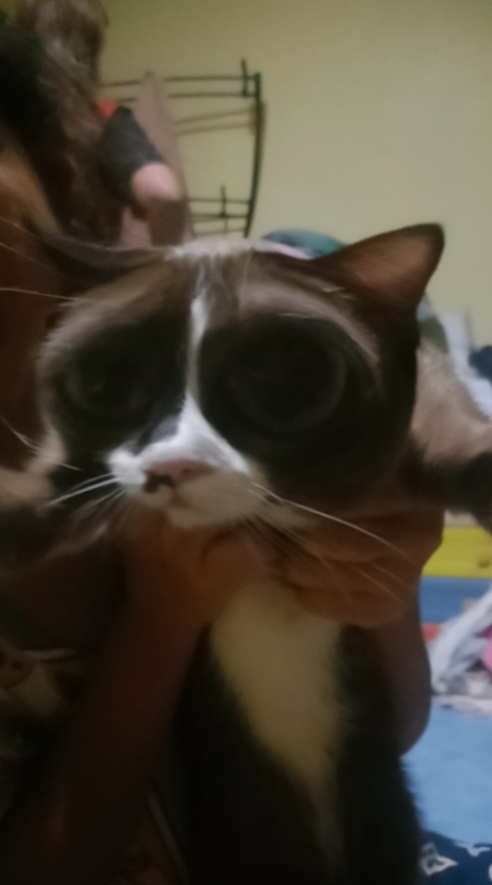 มาคุยเล่นกันสำหรับคนที่ตามมาจาก tiktok