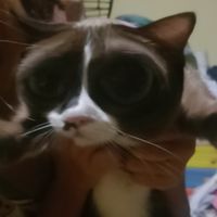 มาคุยเล่นกันสำหรับคนที่ตามมาจาก tiktok