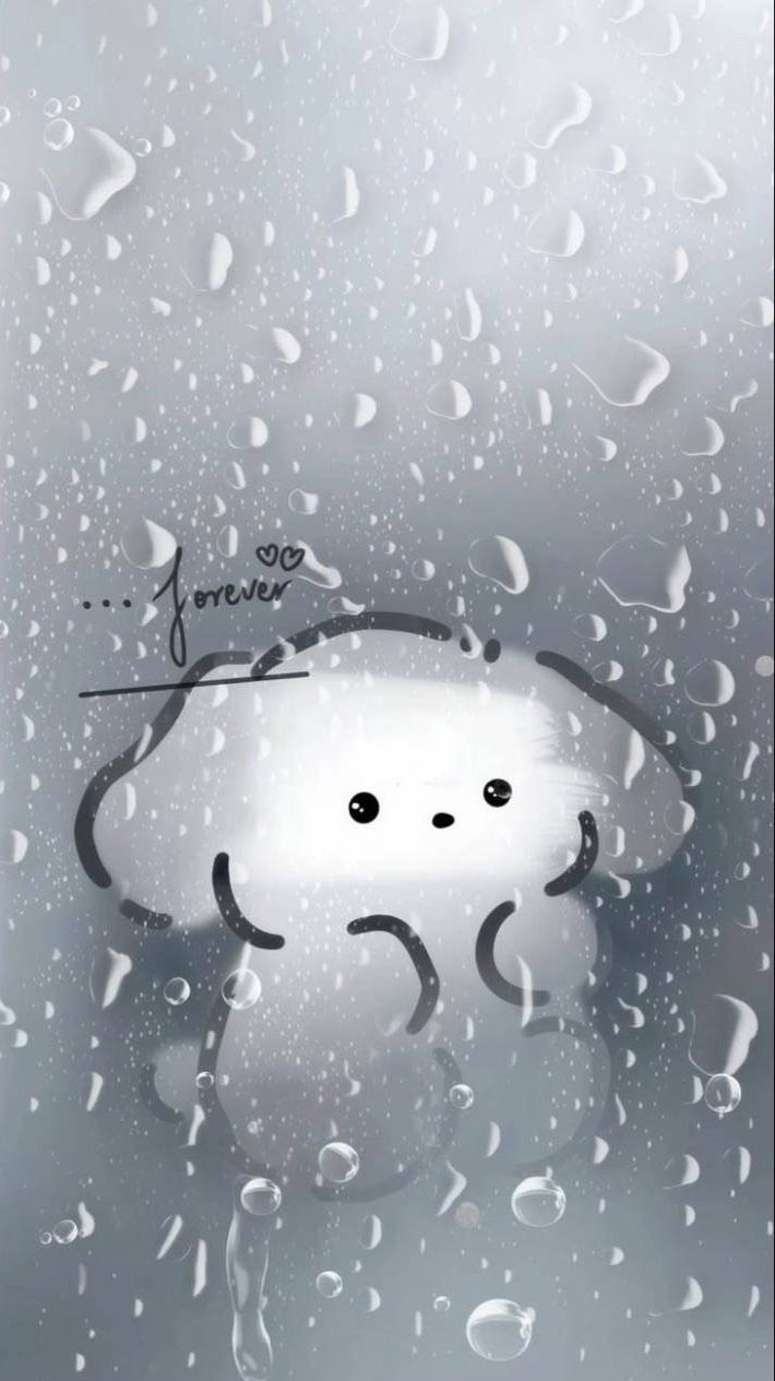 安安大家族(￣∇￣)