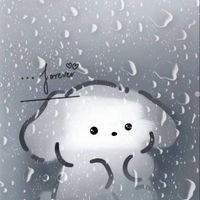 安安大家族(￣∇￣)