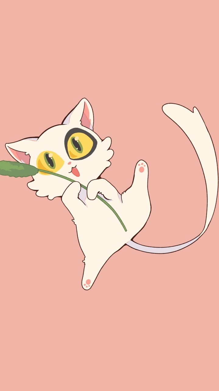 どるすけフィーバー🕺