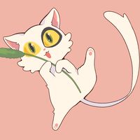 どるすけフィーバー🕺