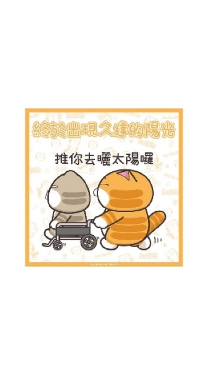 NET員工交流群