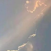 フリー線画塗りまくるオプ