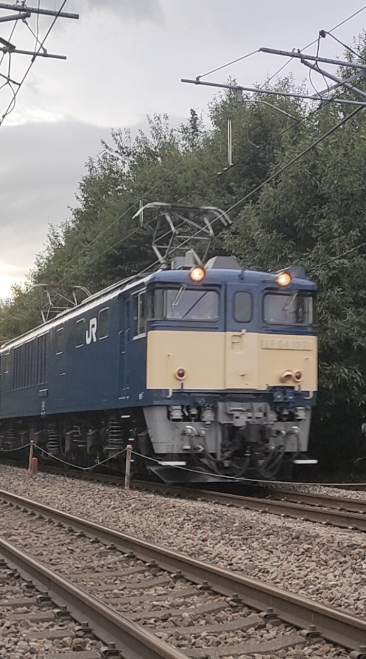 八王子の身内オプチャ(鉄道ファンの集まり)